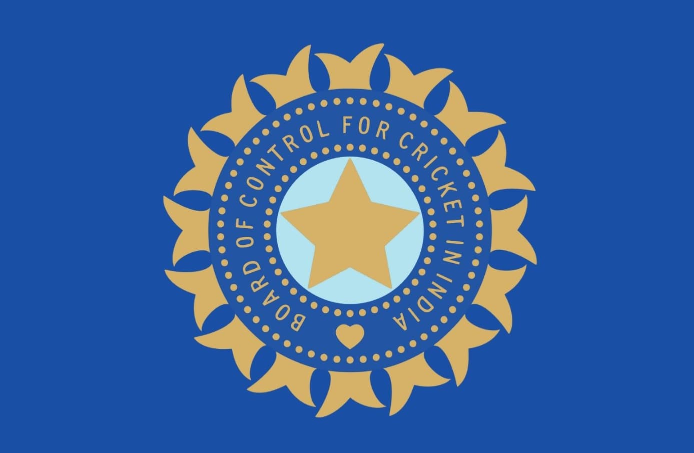 BCCI Net Worth