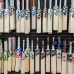 Kashmir Willow Vs English Willow