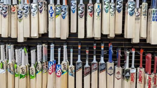 Kashmir Willow Vs English Willow